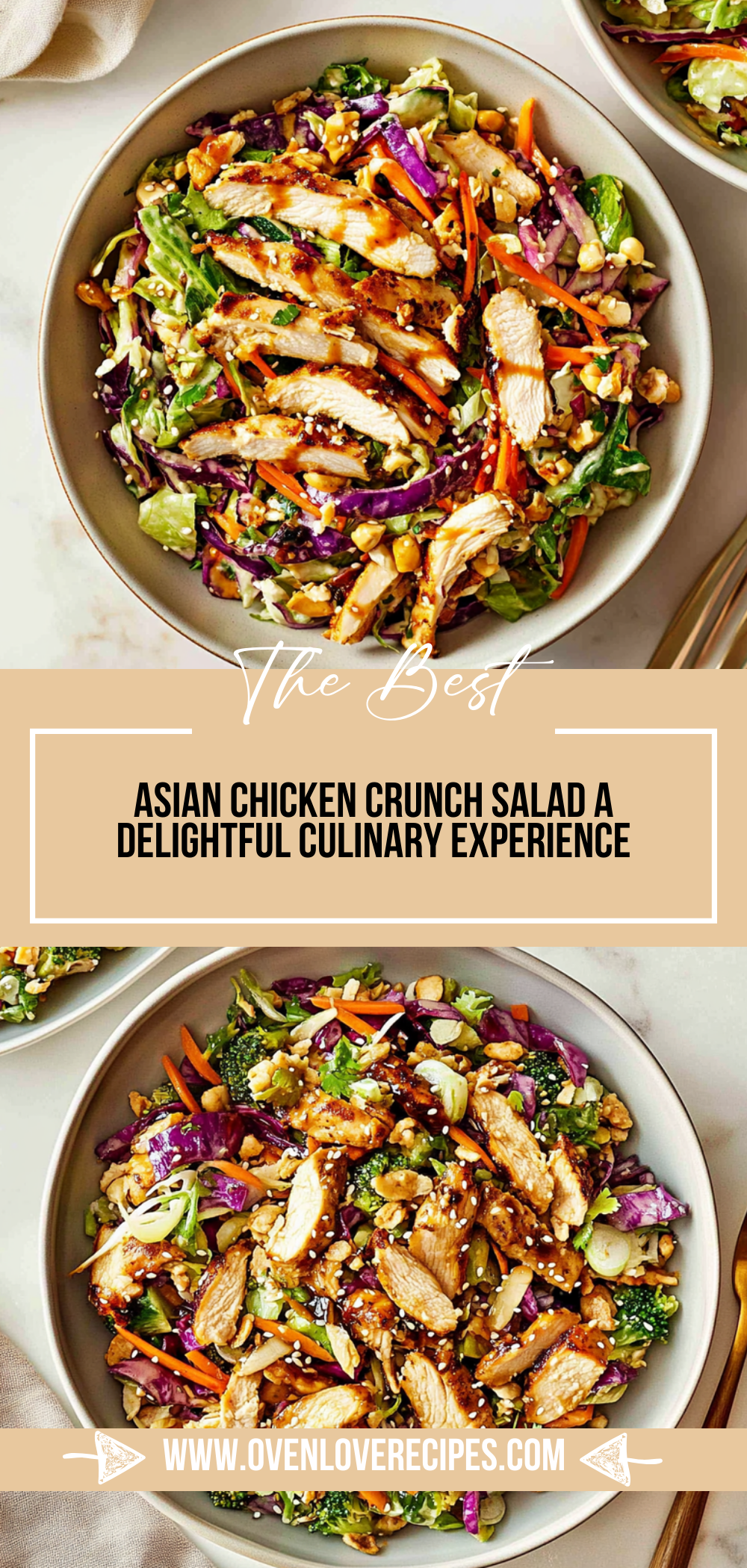 Asian Chicken Crunch Salad: A Delightful Culinary Experience