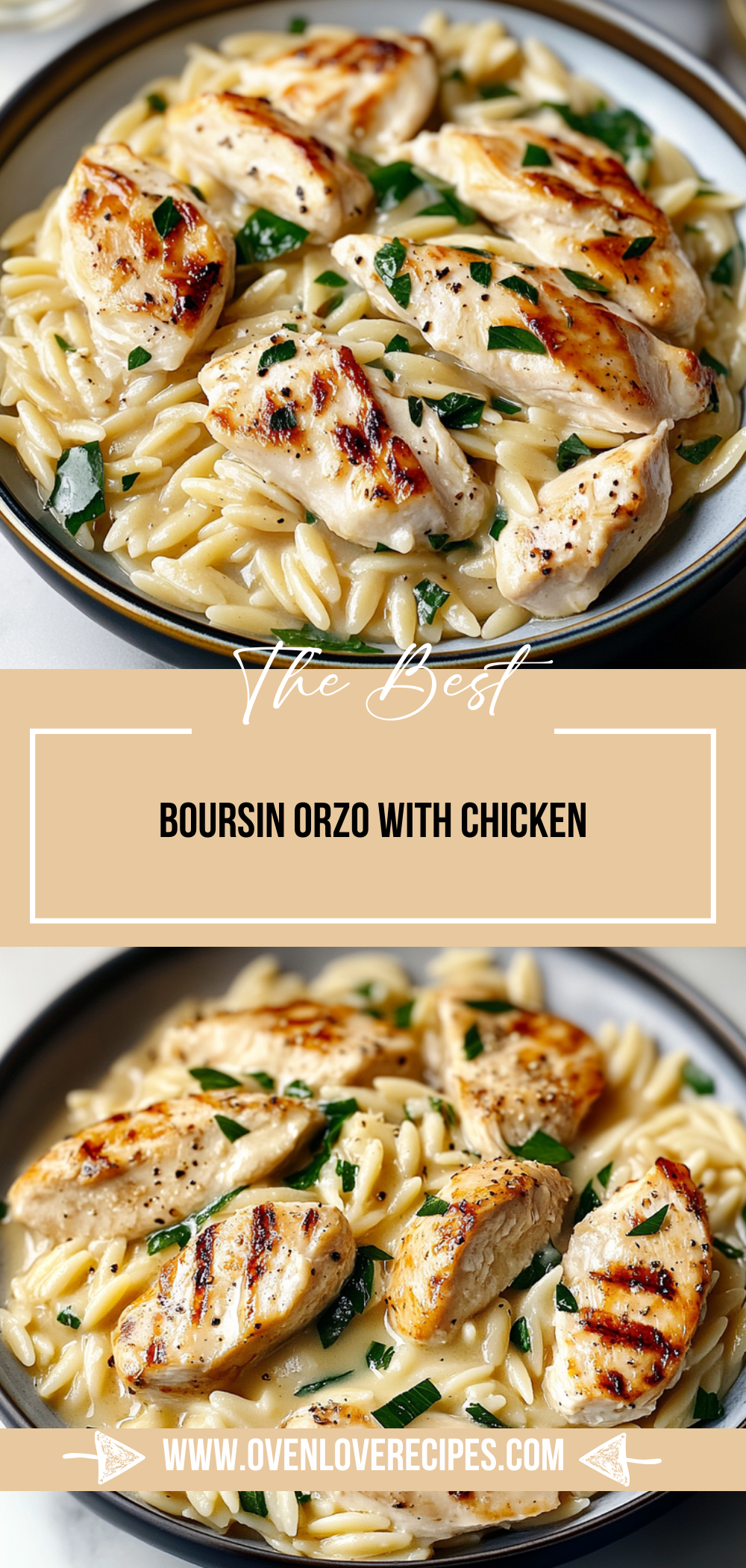 Boursin Orzo with Chicken