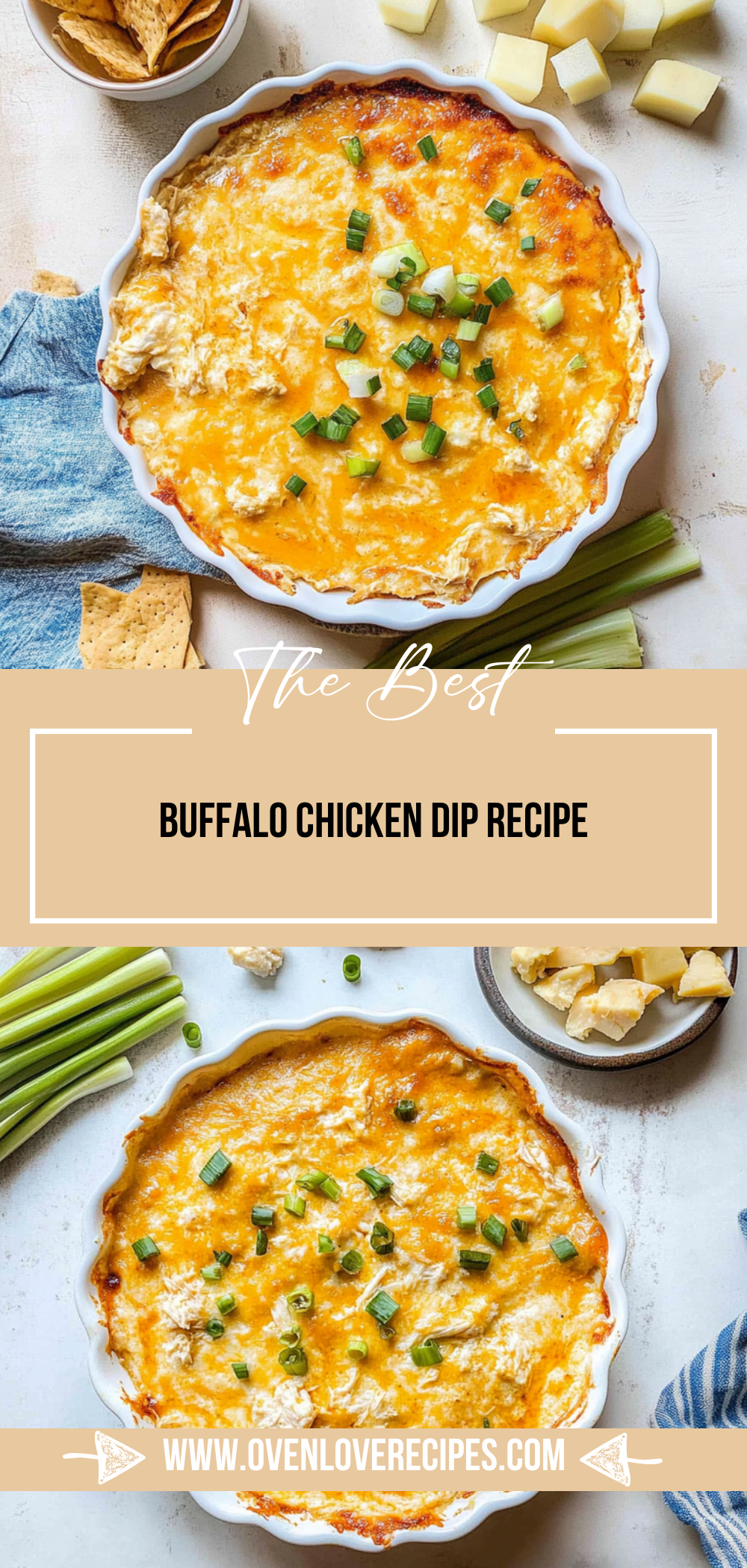 Buffalo Chicken Dip Recipe