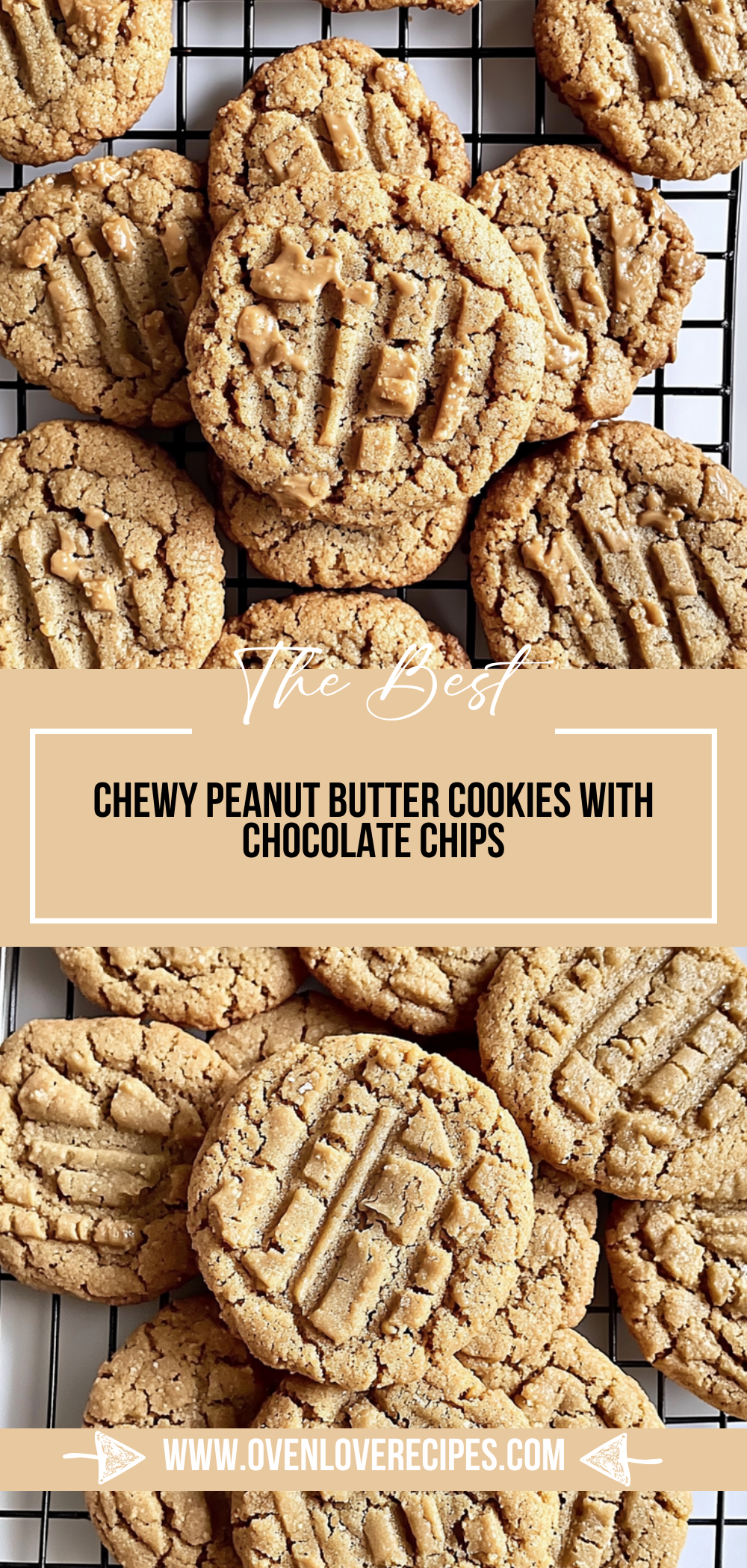 Chewy Peanut Butter Cookies