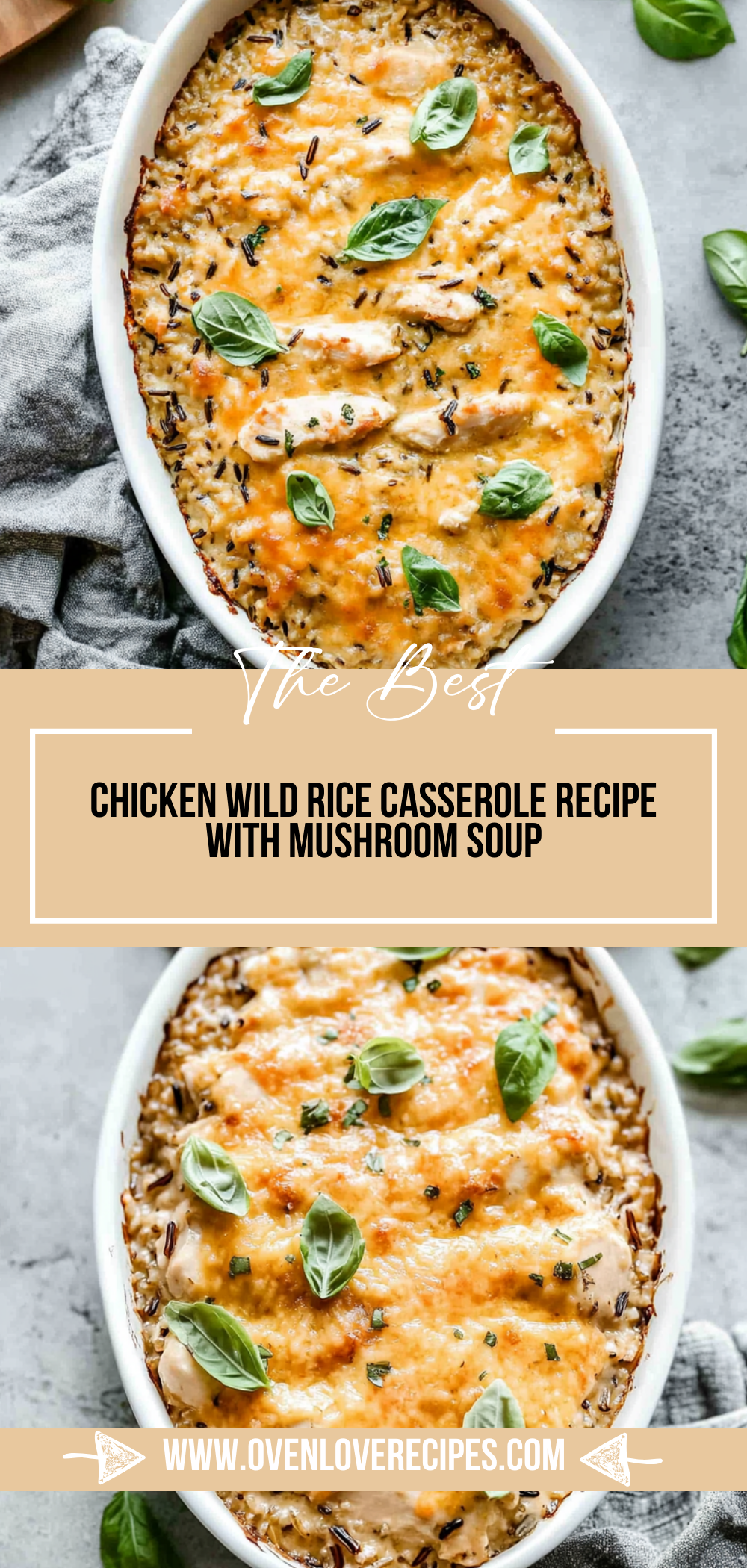 Chicken Wild Rice Casserole Recipe