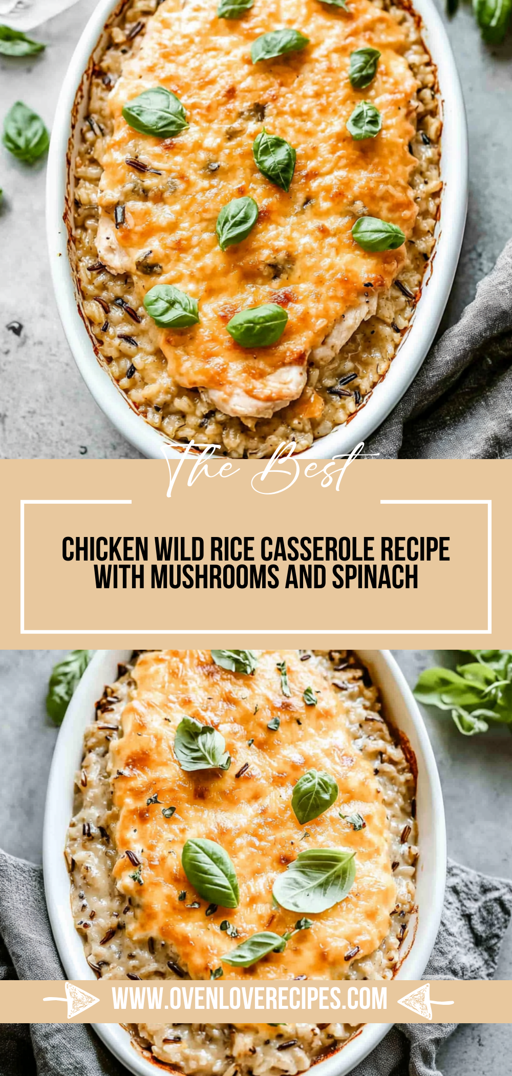 Chicken Wild Rice Casserole Recipe