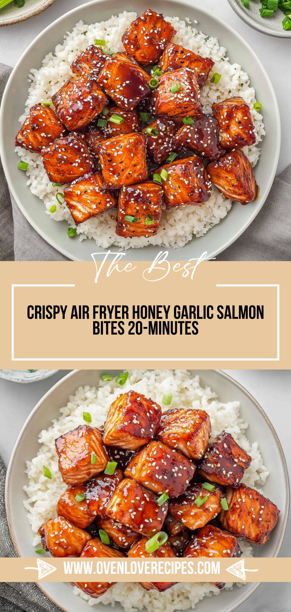 Crispy Air Fryer Honey Garlic Salmon Bites (20-Minutes)