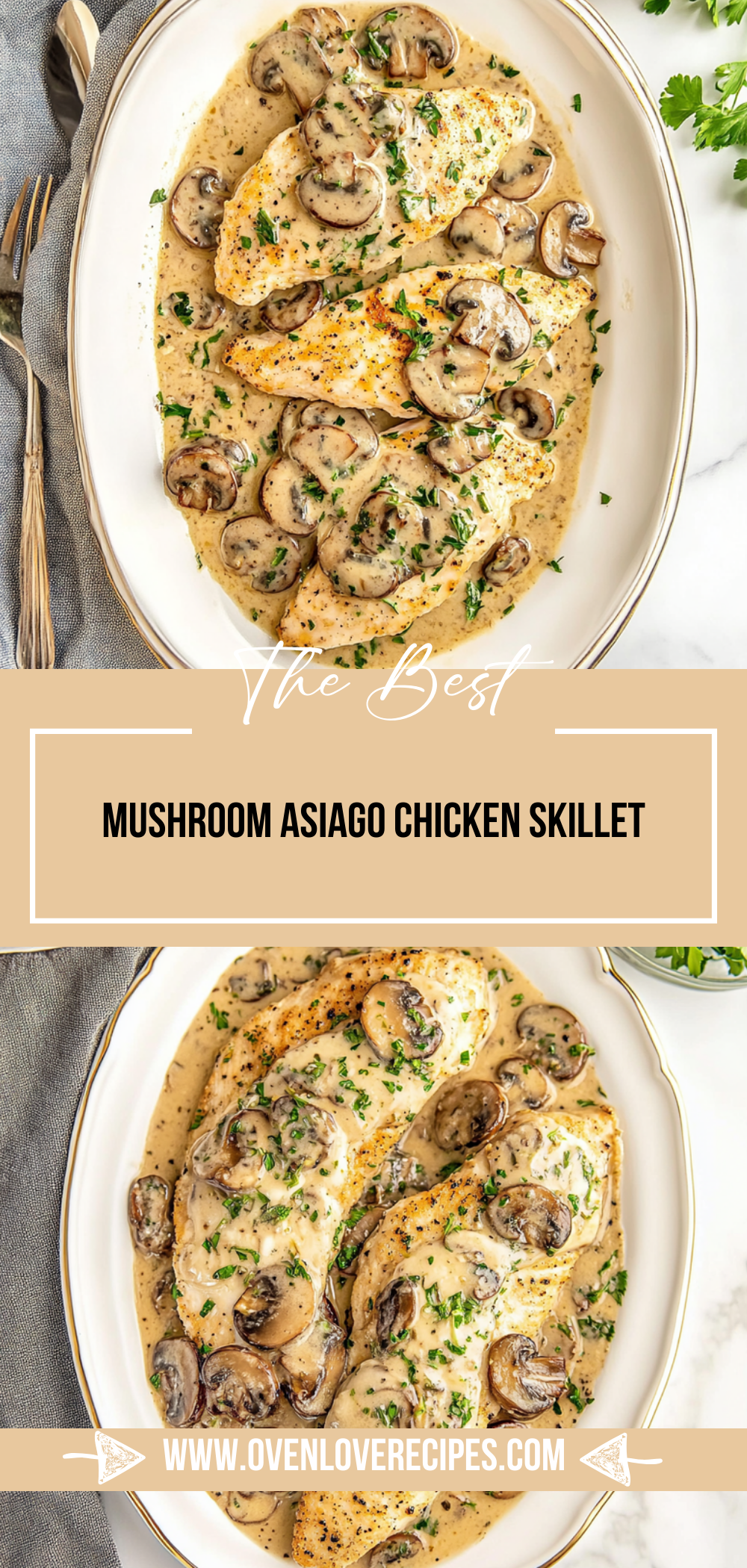 Mushroom Asiago Chicken