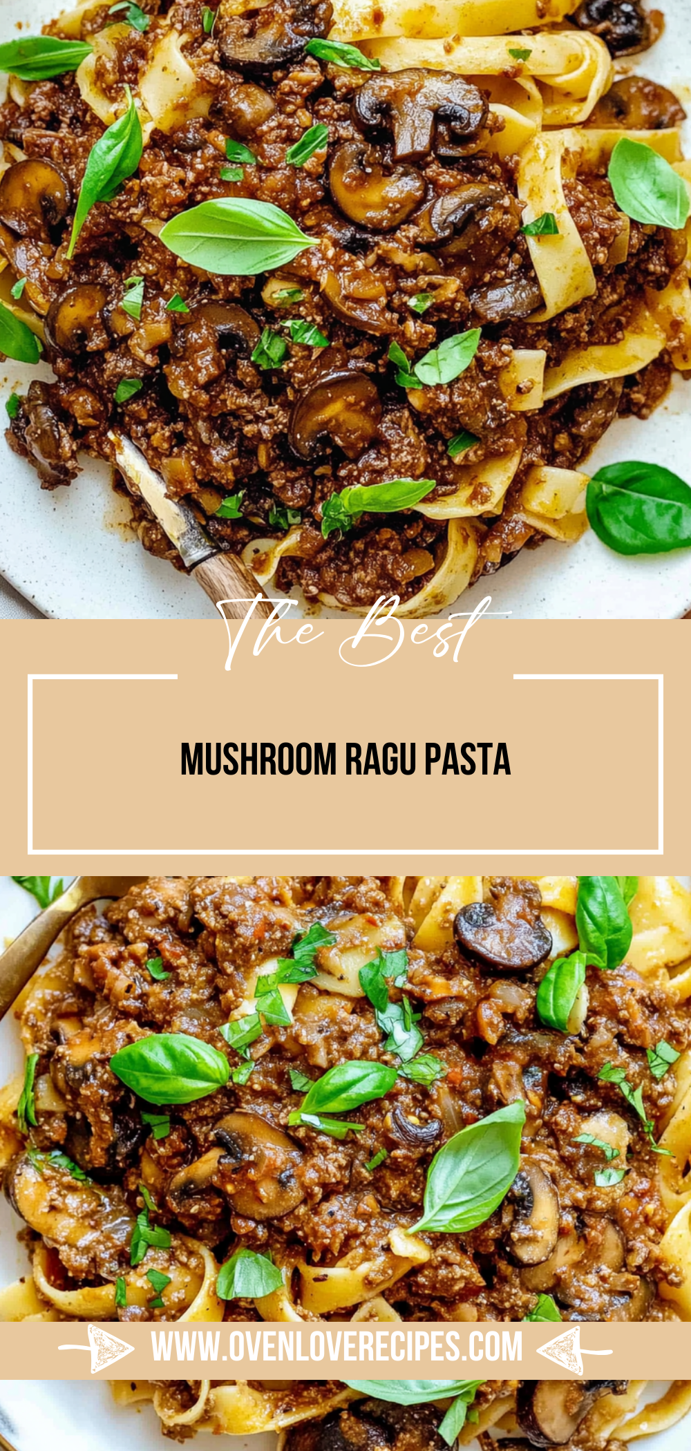 Mushroom Ragu