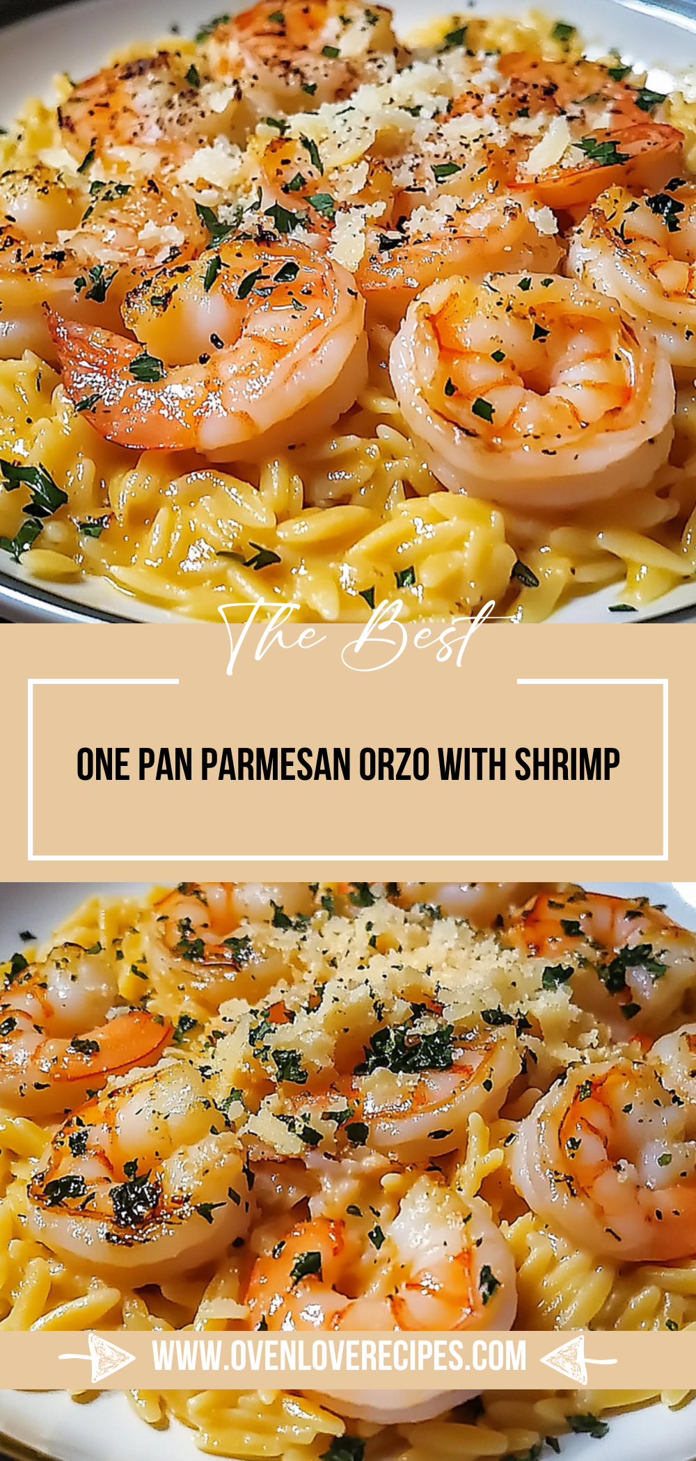 One Pan Parmesan Orzo with Shrimp