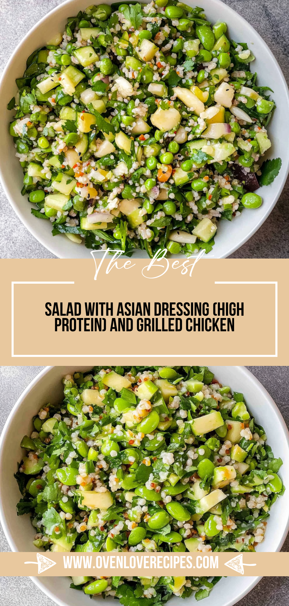 Salad with Asian Dressing (High Protein)