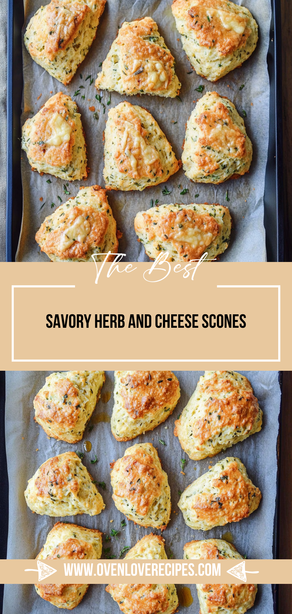 Savory Herb and Cheese Scones