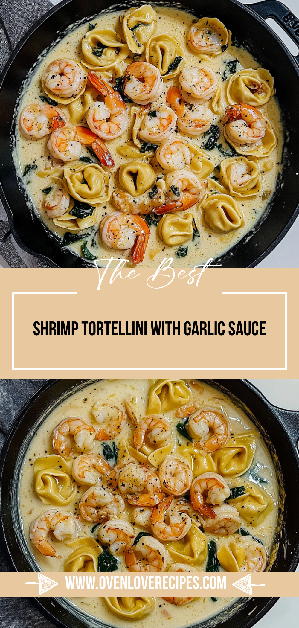 Shrimp Tortellini with Garlic Sauce