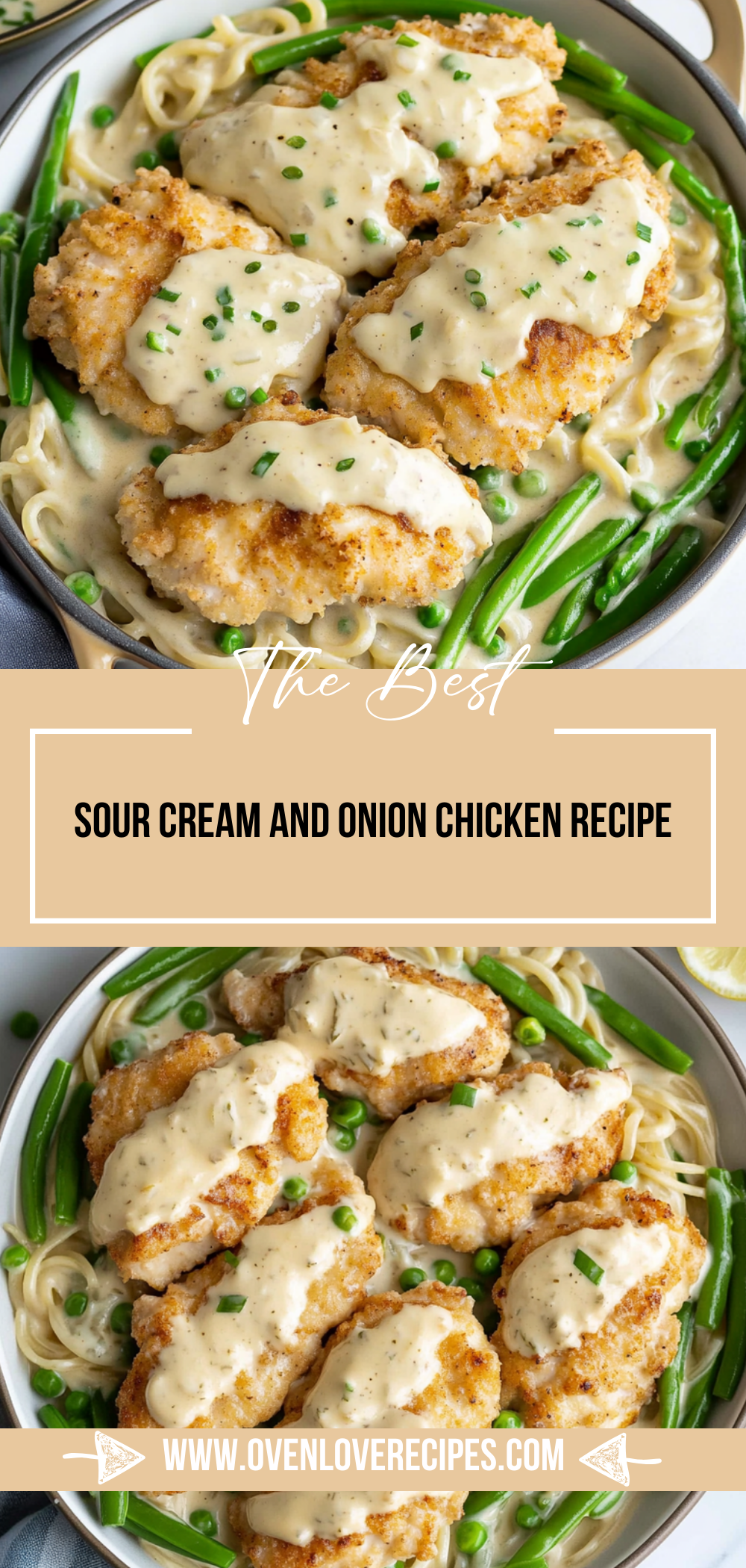 Sour Cream and Onion Chicken Recipe