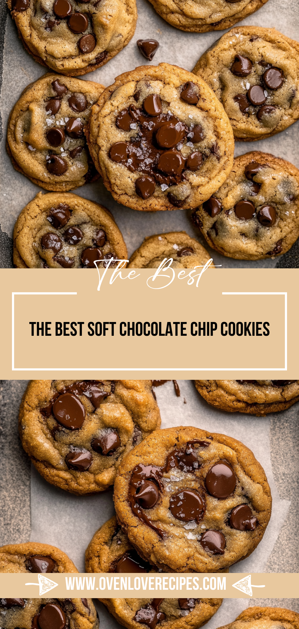 The Best Soft Chocolate Chip Cookies